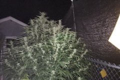 2816BF57-F6B7-450B-A353-F993502BD0F2