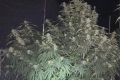 FFB8584A-0814-4BDD-A866-FB6D1C18FFB1